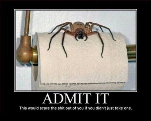 admit it