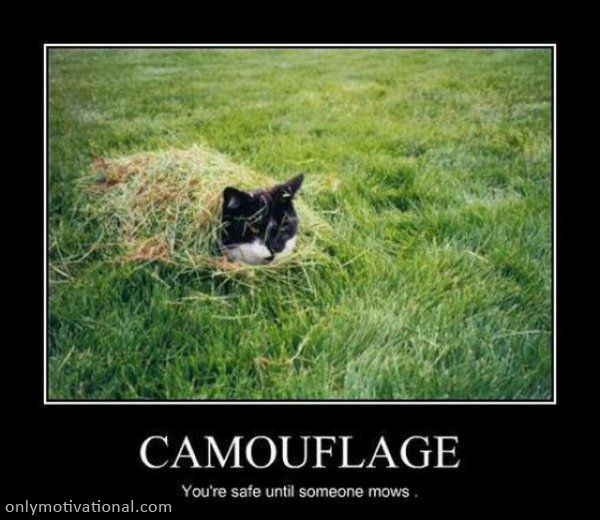 camoflage