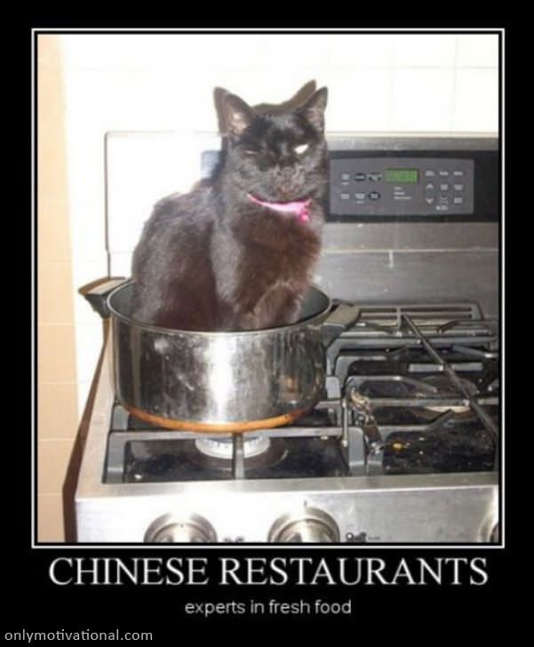 chinese restaurants