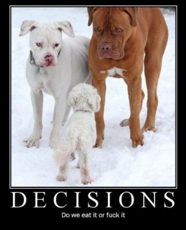 decisions