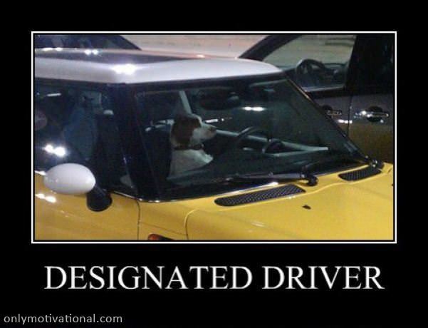 designated driver