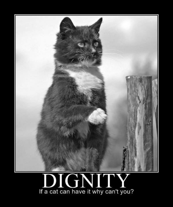 dignity