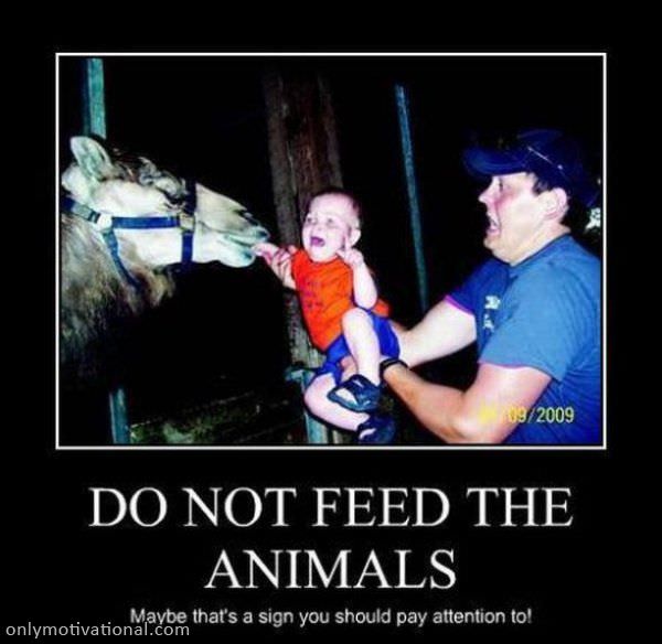 dont feed the animals