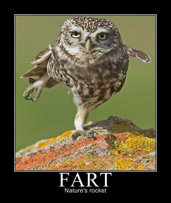 fart