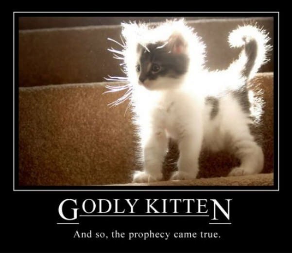 godly kitten