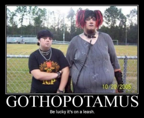 gothopotamus