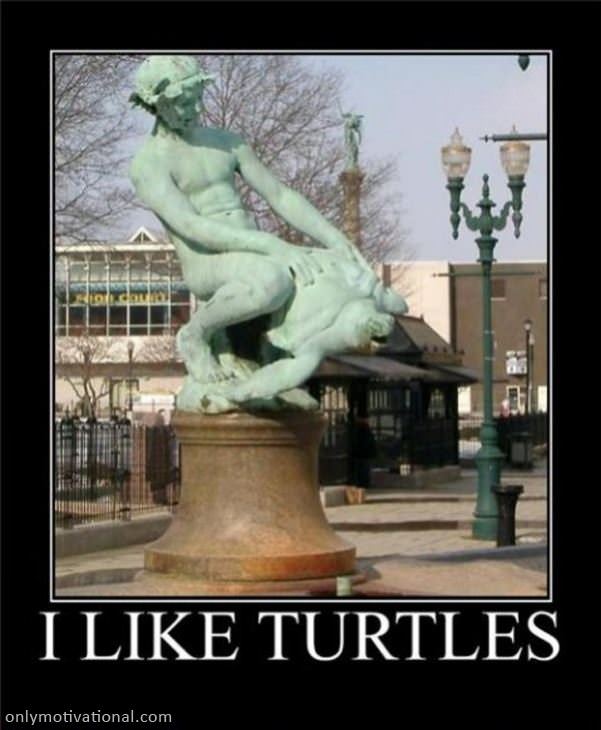 i like turtles