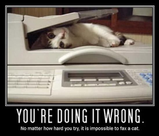 impossible to fax a cat