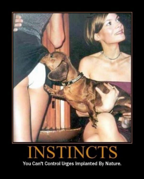 instincts