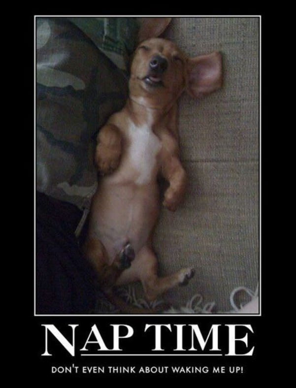 its nap time