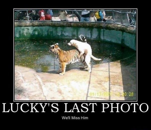 luckys last photo