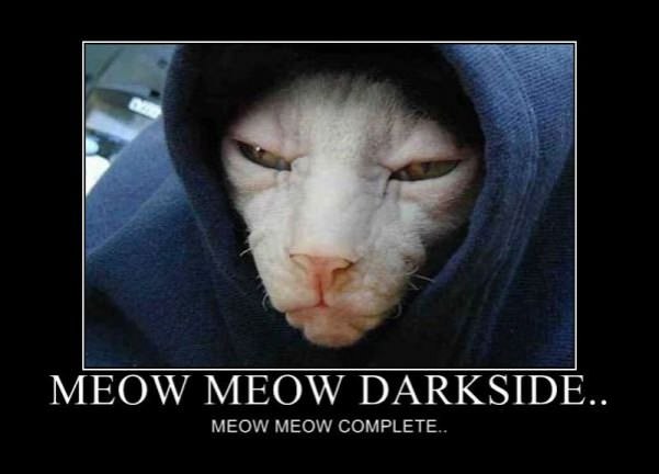 meow meow darkside