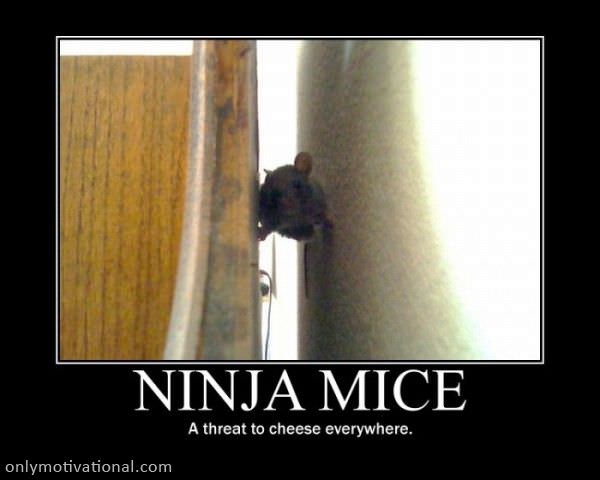 ninja mice