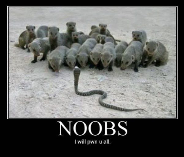 noobs