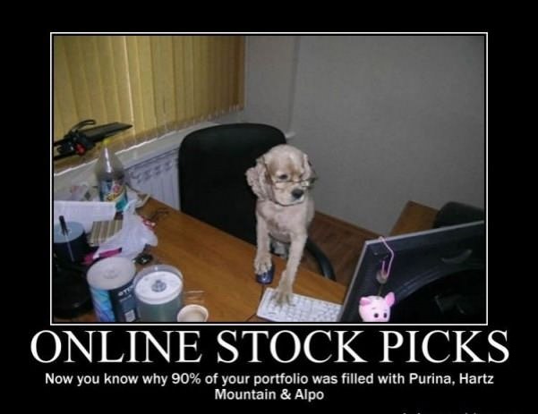 online stock picks