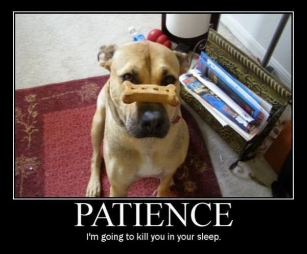 patience