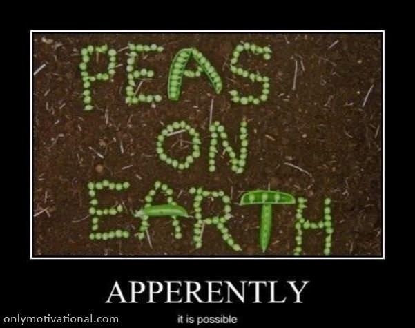 peas on earth