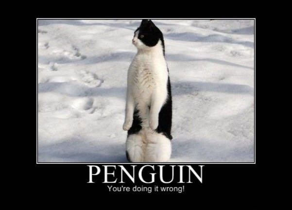 penguin