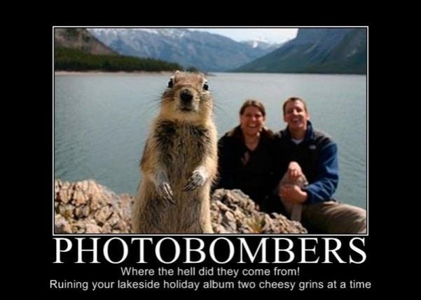 photobombers