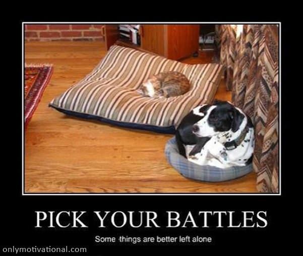 pick your battles