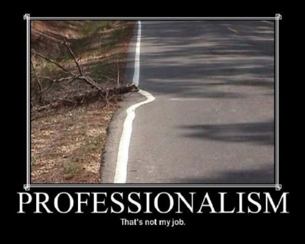 professionalism