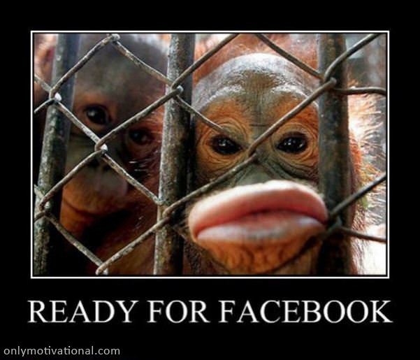 ready for facebook