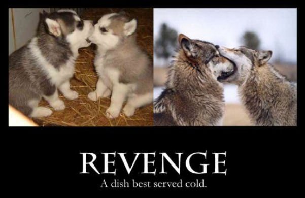 revenge