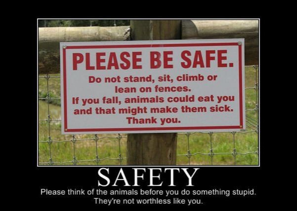 safety