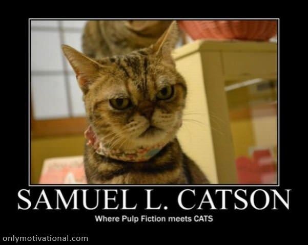 samuel catson