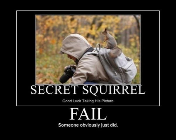 secret squirrel