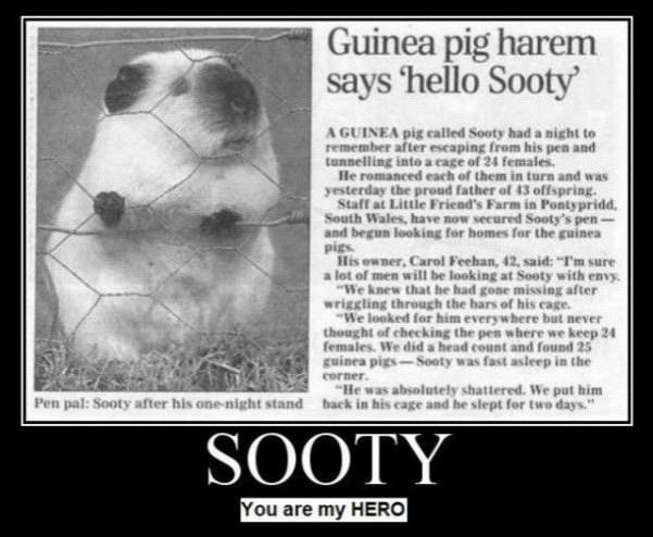 sooty is my hero