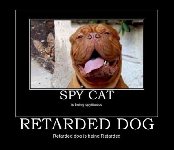 spy and retard