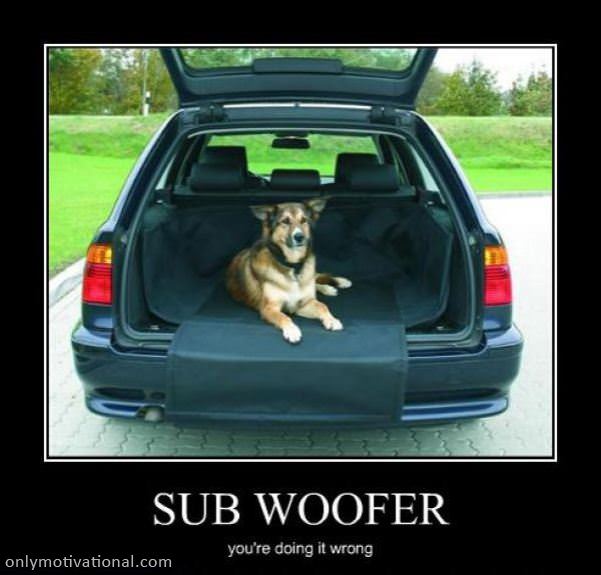 sub woofer