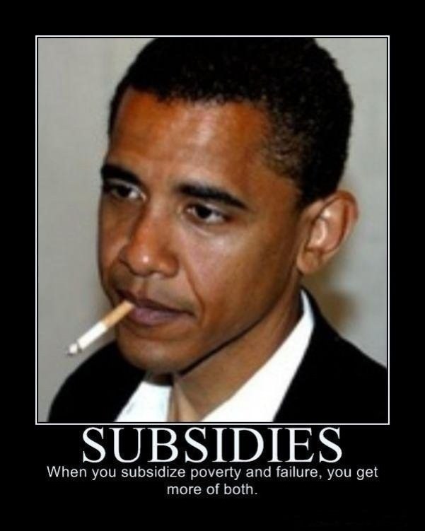 subsidies