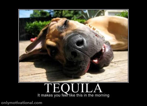 tequila