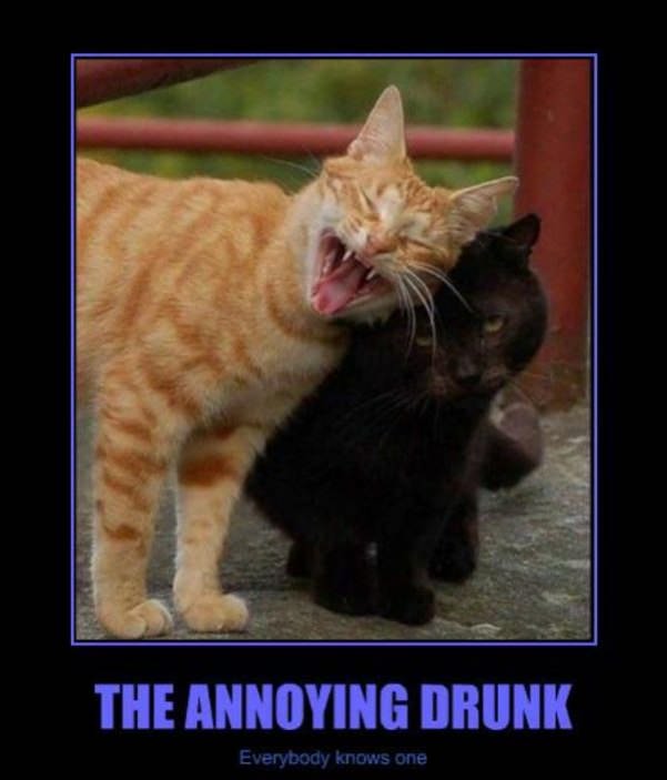 the annoying drunk