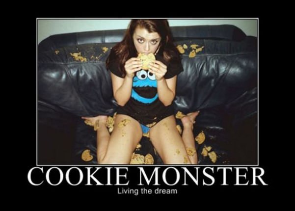 the cookie monster