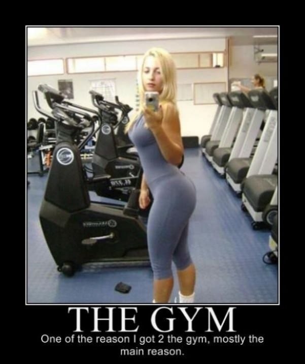 the gym