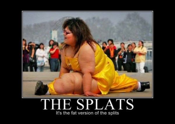 the splats