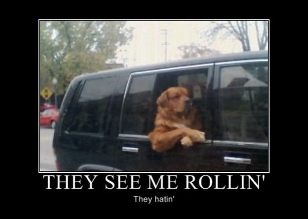 they see me rollin