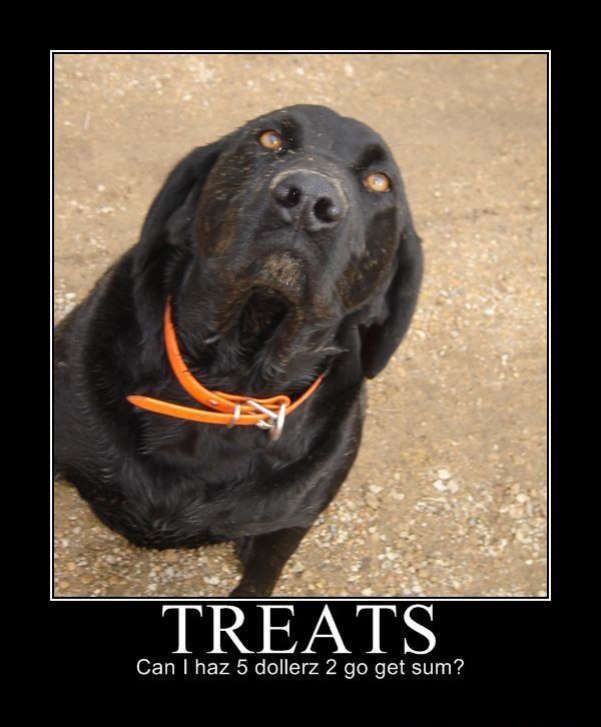 treats