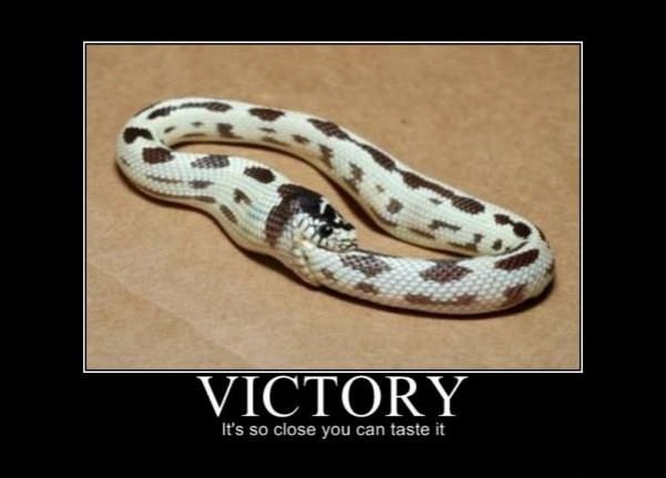 victory